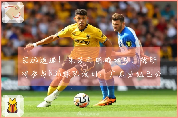宏远速递！朱芳雨明确回应，徐昕将参与NBA球队试训，广东分组已公布